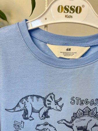 Футболка на хлопчика H&M Діно(Голуба)