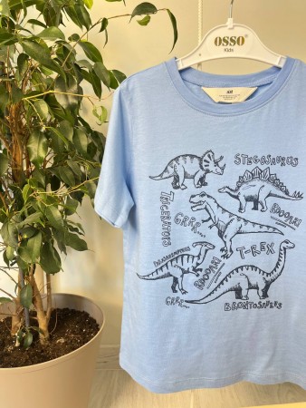 Футболка на хлопчика H&M Діно(Голуба)
