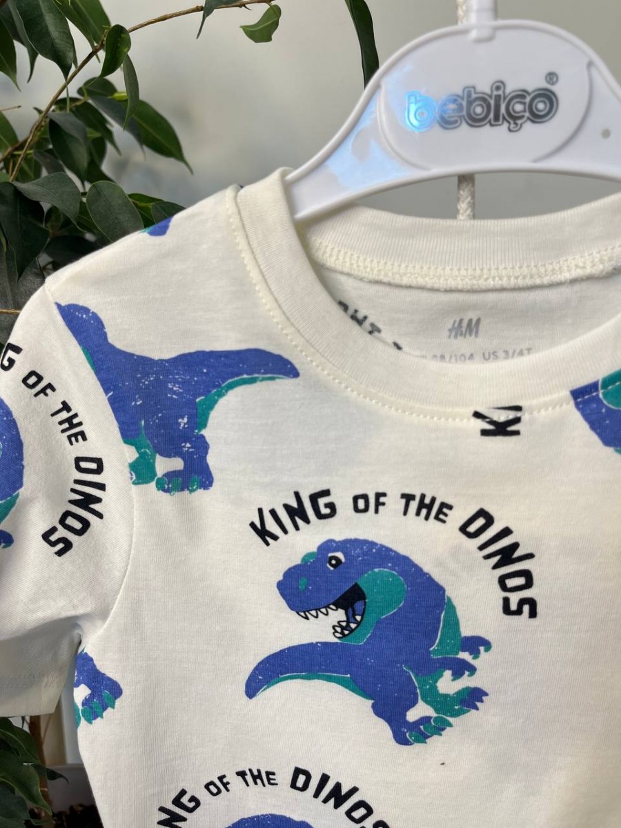 Футболка на хлопчика Діно H&M