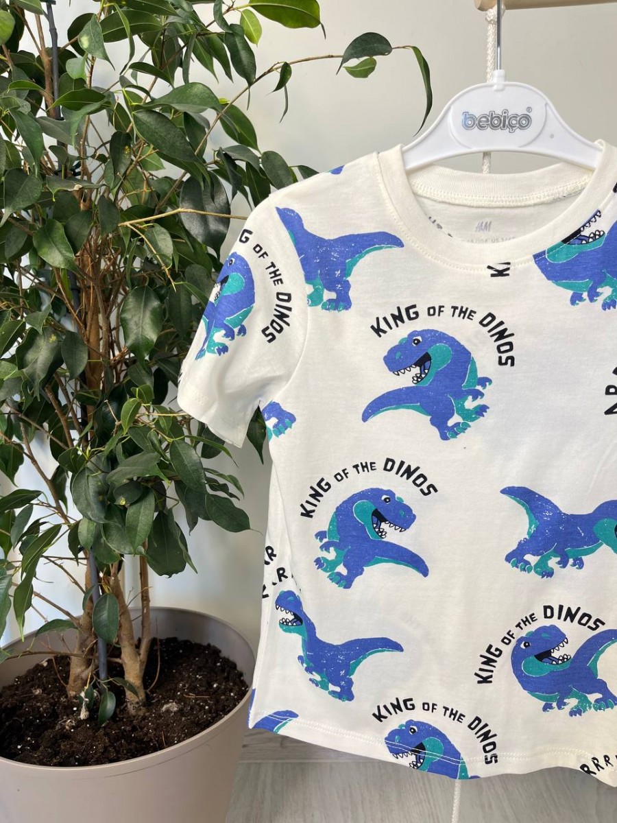 Футболка на хлопчика Діно H&M