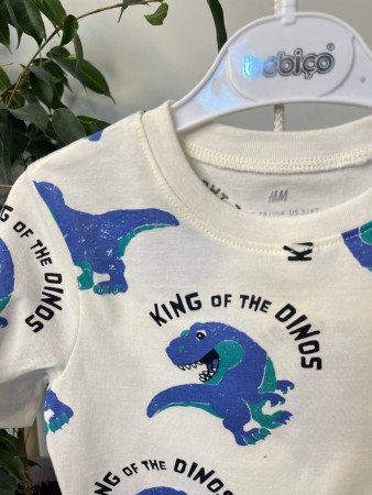 Футболка на хлопчика Діно H&M